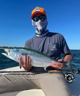 Inshore Light Tackle Fishing