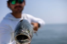 Inshore Fishing Trip