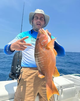 Reef Fishing