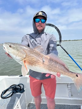 Half day Bay/Jetty trip 