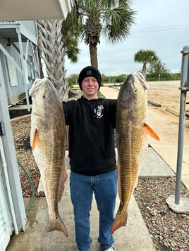 Half day Bay/Jetty trip 