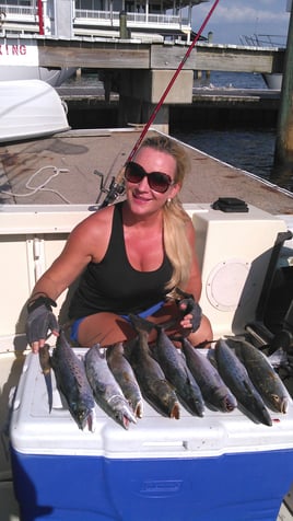 Near shore/Inshore Fishing charter