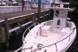 Near shore/Inshore Fishing charter
