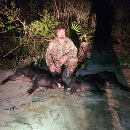 4 hour quick hog hint package