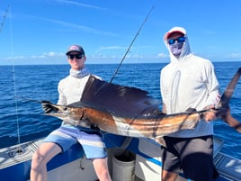 4-10 Hour Deep Sea Fishing