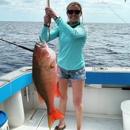 4-10 Hour Deep Sea Fishing