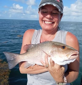 4-8 Hour Inshore Trip