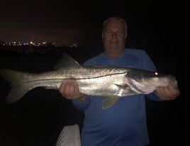 Night Trip – 4 Hours