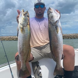 2 hour beginners trip