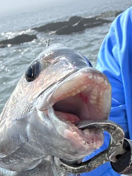 2 hour beginners trip