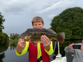 Peacock bass fishing south Florida 