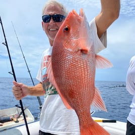 10 Hour Trip – American Red Snapper