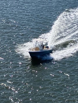 Inshore Striped Bass