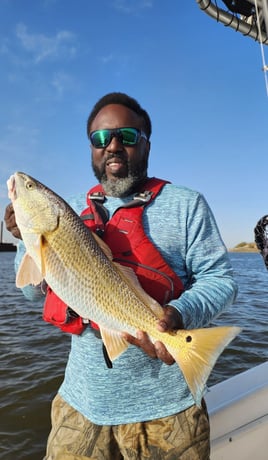 4-6 Hour Trip – Inshore Trip