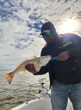 4-6 Hour Trip – Inshore Trip