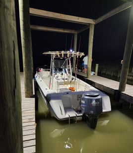 4-6 Hour Trip – Inshore Trip