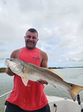4-6 Hour Trip – Inshore Trip