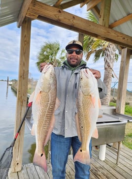 4-6 Hour Trip – Inshore Trip