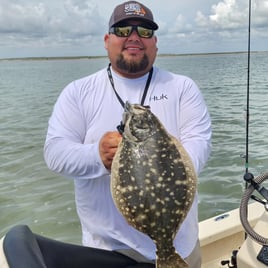 Inshore Fishing Trip 