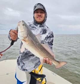 Inshore Fishing Trip 