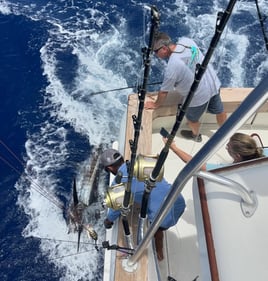 4-10 Hour Offshore Trip