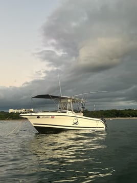 Half day fishing trip 