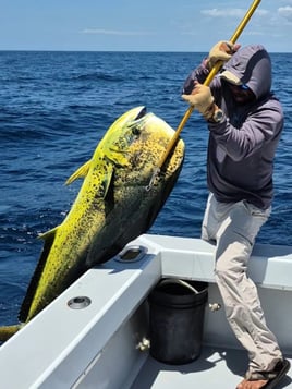 5-9 Hour Offshore Trip