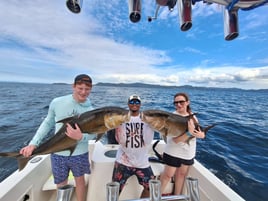 Sport Fishing Trips