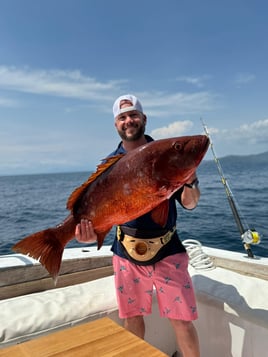 Inshore/Offshore Fishing Trip