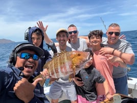 Inshore/Offshore Fishing Trip
