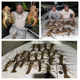 Night Time Lobster Bully Netting