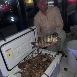 Night Time Lobster Bully Netting