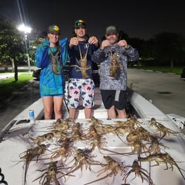 Night Time Lobster Bully Netting