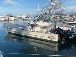 Half/Full Day Inshore Trip