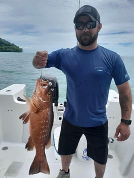 Half/Full Day Inshore Trip