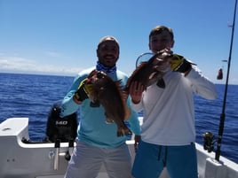 Full Day Nearshore