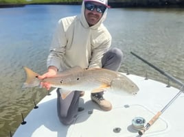 4-8 Hour Inshore Trip