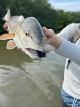 4-8 Hour Inshore Trip