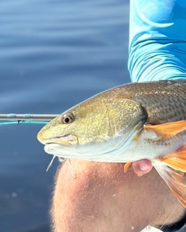 4-8 Hour Inshore Trip