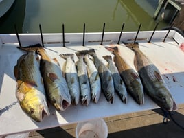 Inshore Fishing