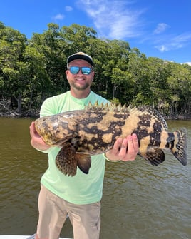 Full Day Everglades  - 17' Skiff