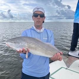 Full Day Everglades  - 17' Skiff