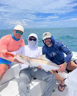 4-8 Hour Full Day Fishing - 26' 