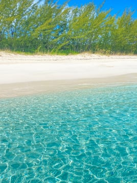 Rose island snorkel adventure 