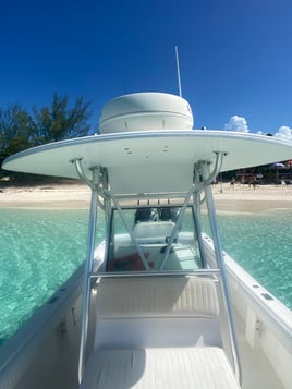 Rose island snorkel adventure 