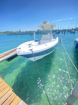 Rose island snorkel adventure 