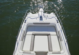 Shell Island Boat Trip