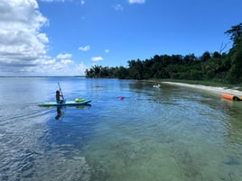 Shell Island Boat Trip