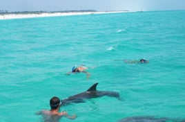 Shell Island Boat Trip