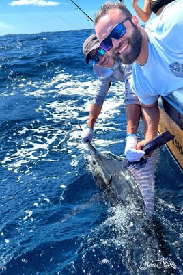 4-8 Hour Trip - Sportfishing